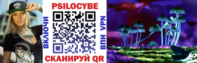 Псилоцибиновые грибы Magic Shrooms  Купить где  Жигулёвск 